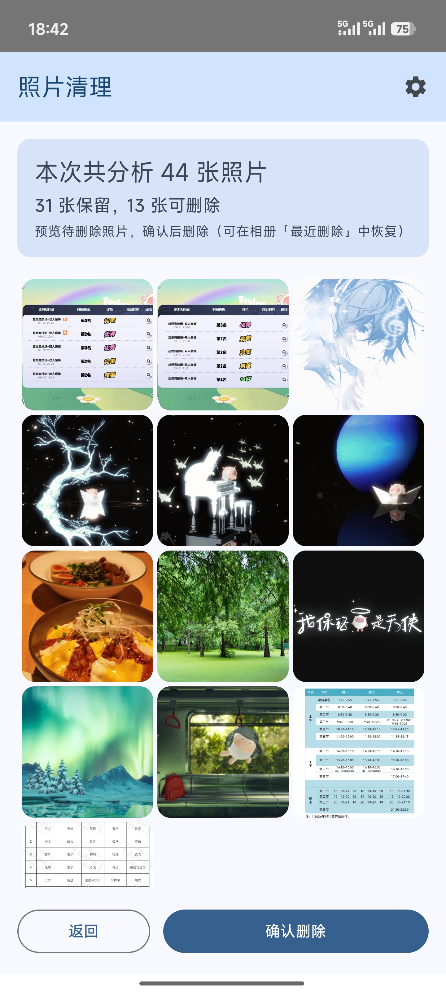 PhotoCleaner 完成预览
